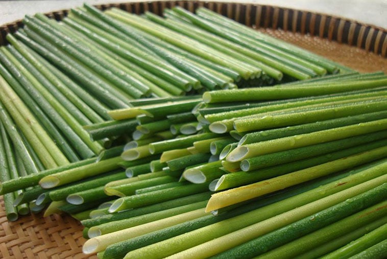 Grass Straw Manufacturing Process