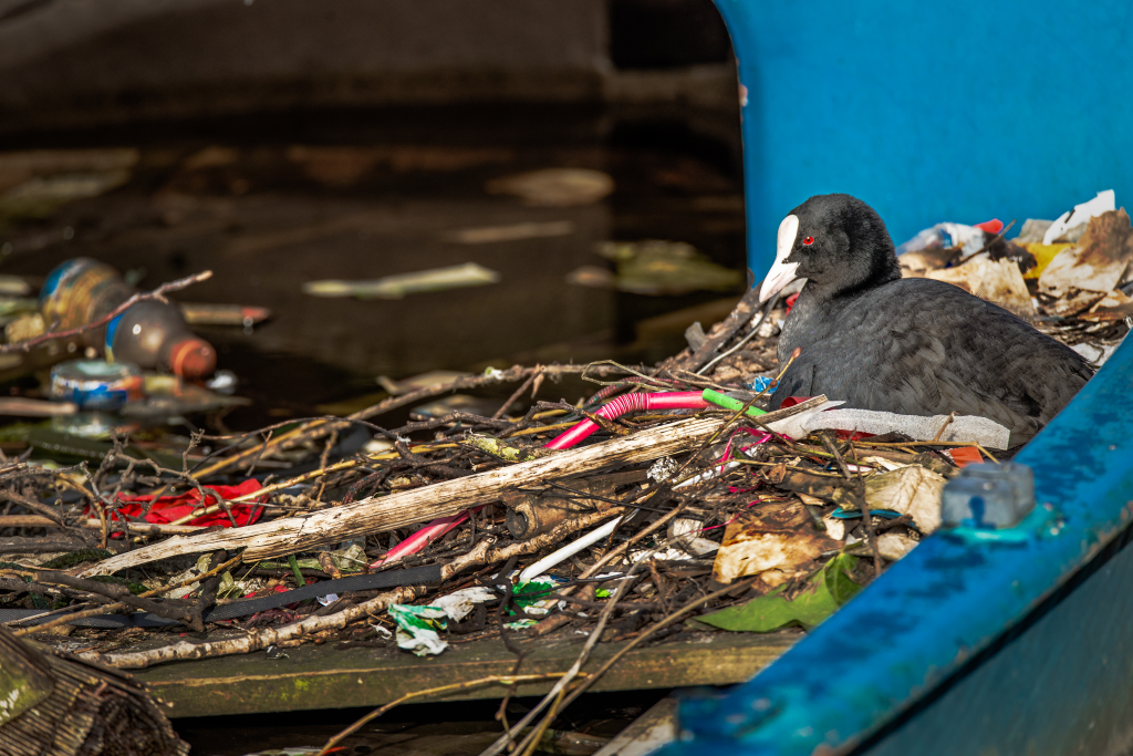 How long does it take for straws to decompose?